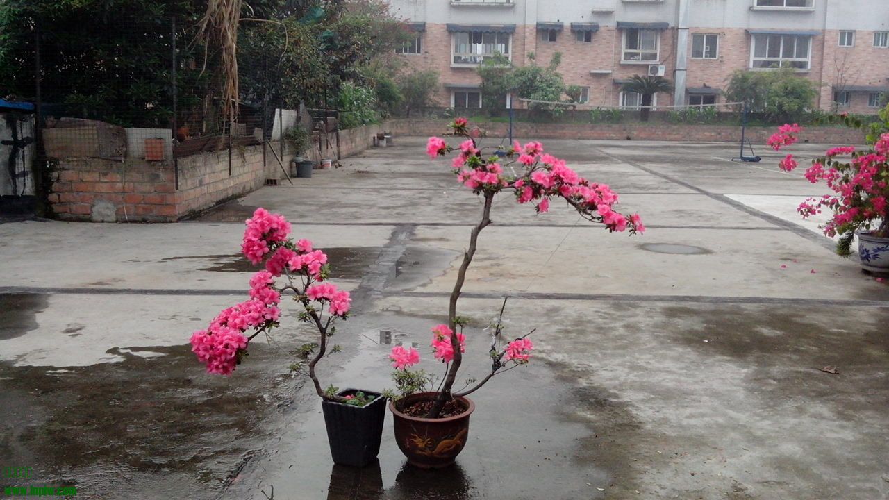 IMG_20140514_083139.jpg