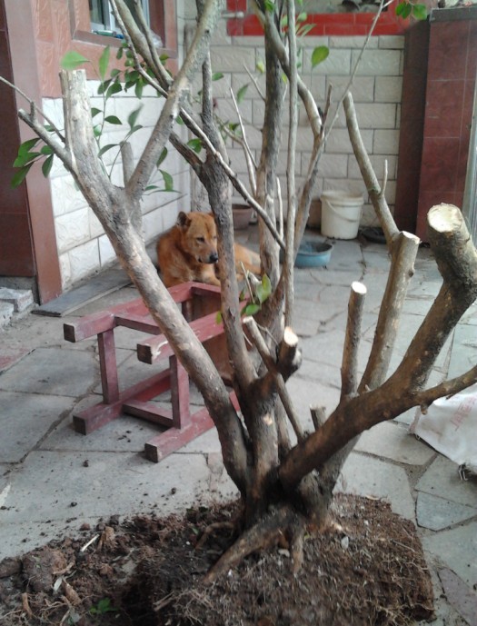 QQͼƬ20140514134139.jpg