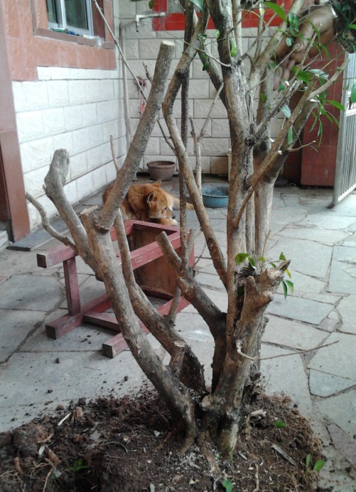 QQͼƬ20140514134145.jpg