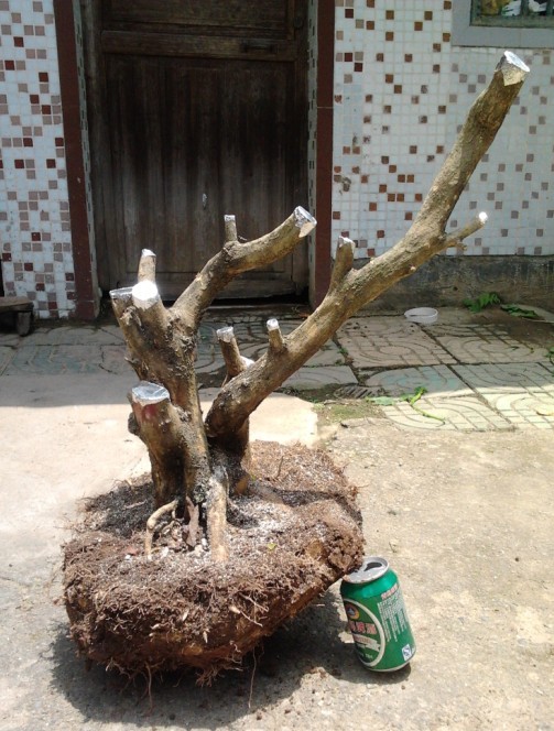 QQͼƬ20140514134151.jpg