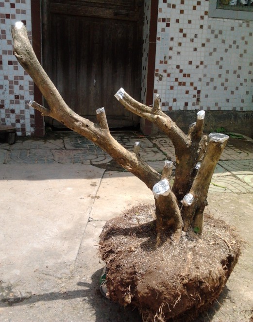 QQͼƬ20140514134156.jpg