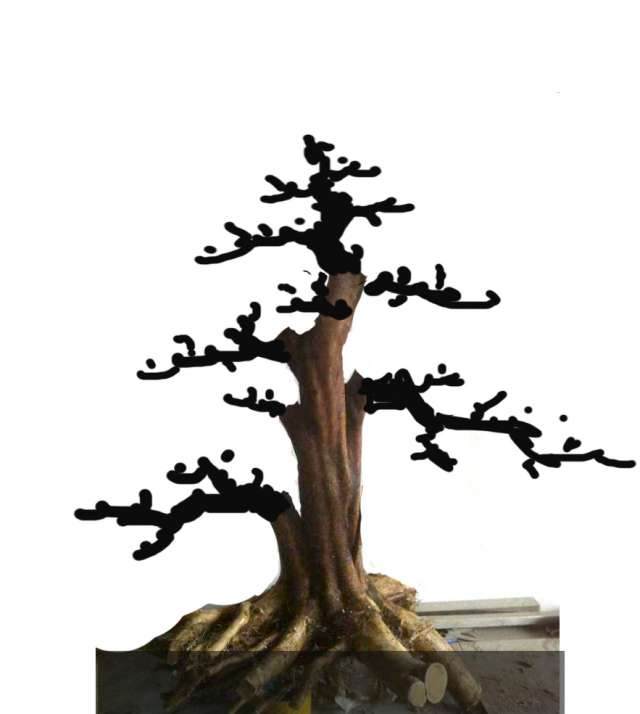 3800381.jpg