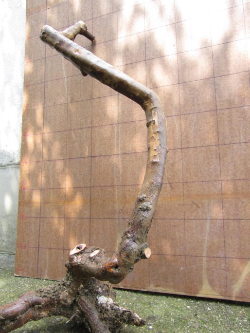 QQͼƬ20140515190653.jpg