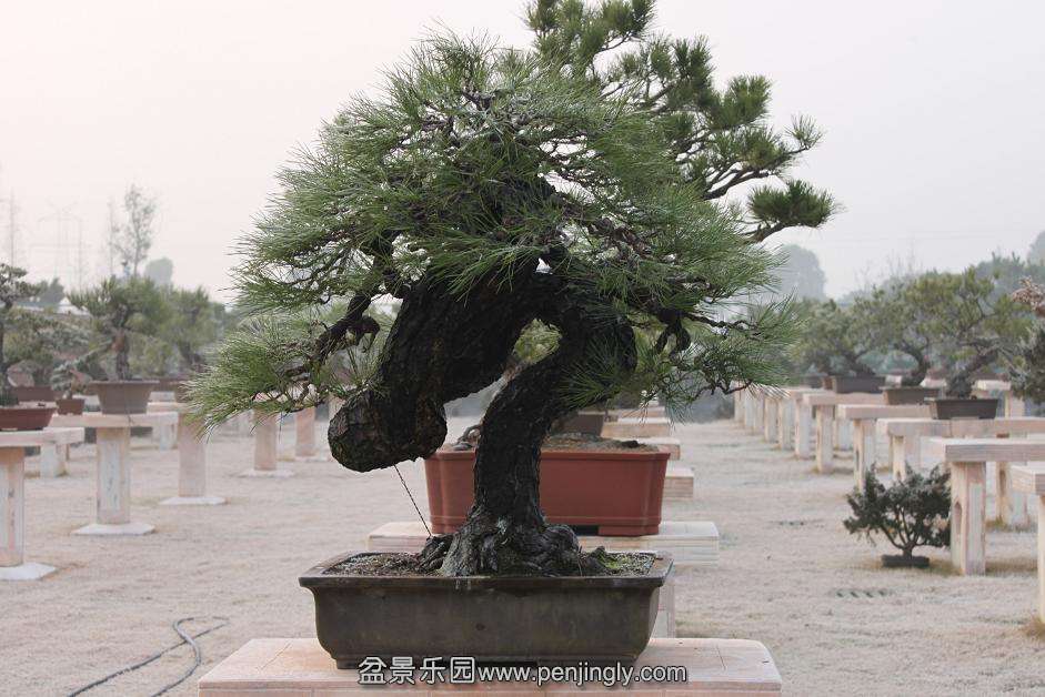 Ƭ 032.jpg