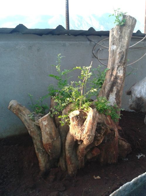 QQͼƬ20140517202302.jpg