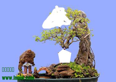 214953ycwtwtkz6oz2oxct.jpg.thumb.jpg