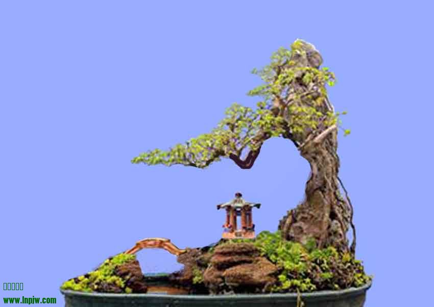 214953ycwtwtkz6oz2oxct.jpg.thumb.jpg