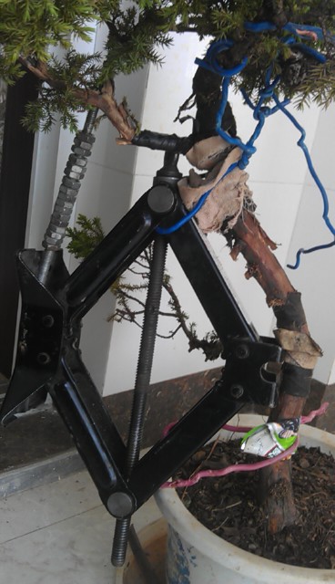 IMAG0449.jpg