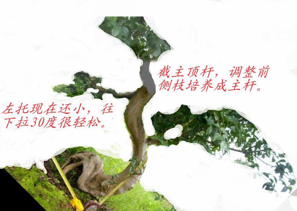 134746gzfb2jkyay7uyfju.jpg.thumb[1].jpg
