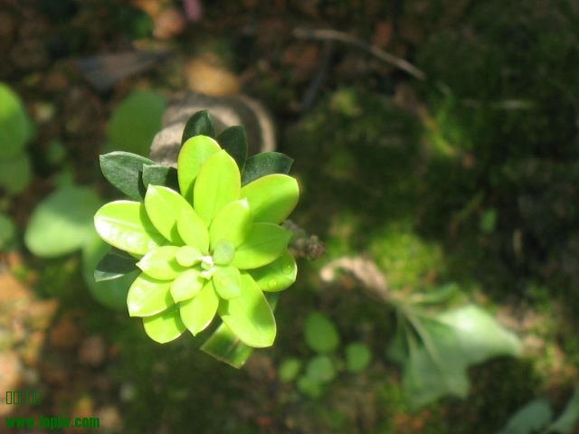 IMG_8433.JPG