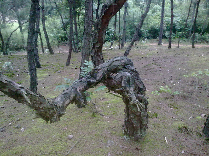 20140516231.jpg