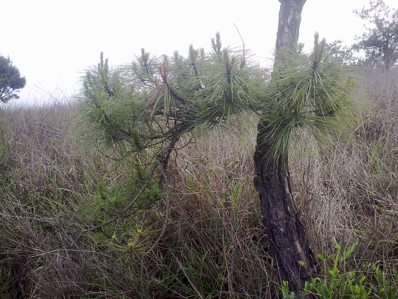 20140516229.jpg