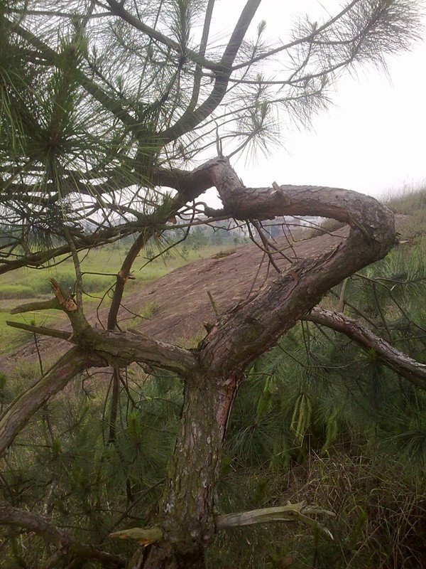 20140516228.jpg
