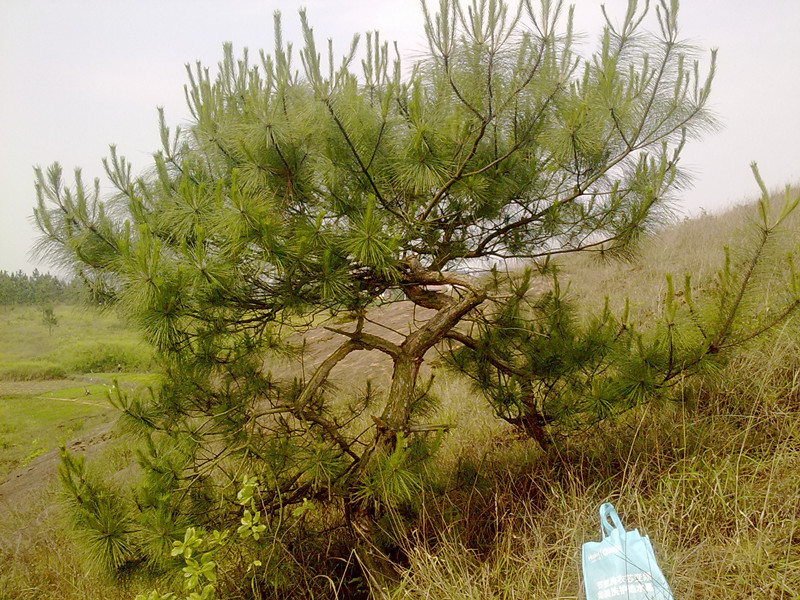 20140516223.jpg
