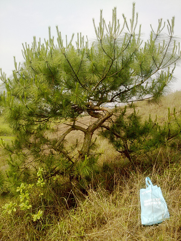 20140516222.jpg