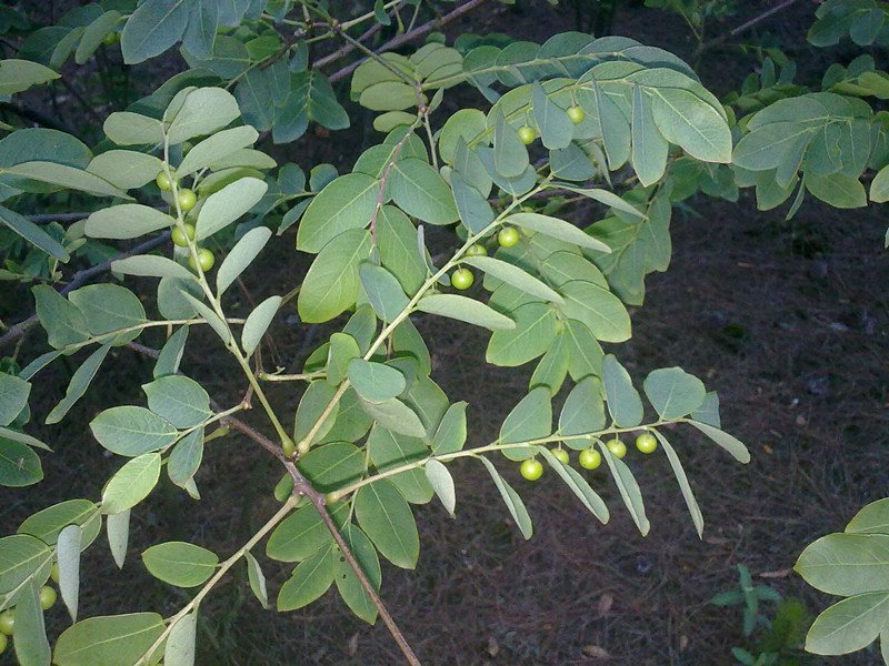 20140516233.jpg