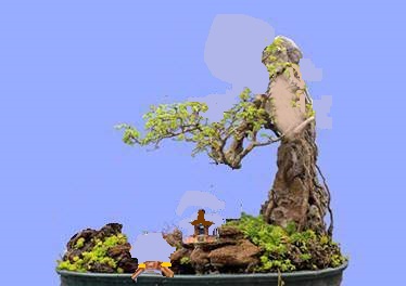 225722shvfwqxn5oqhxqwo_jpg_thumb.jpg