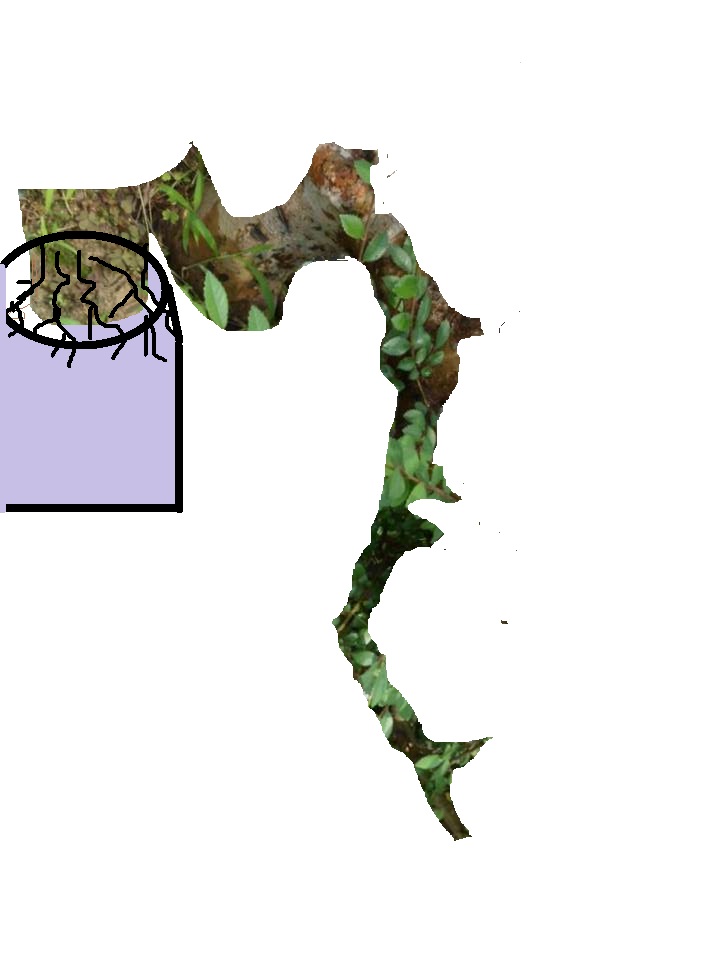 223427fzjsynu2uu23n752_jpg_thumb.jpg