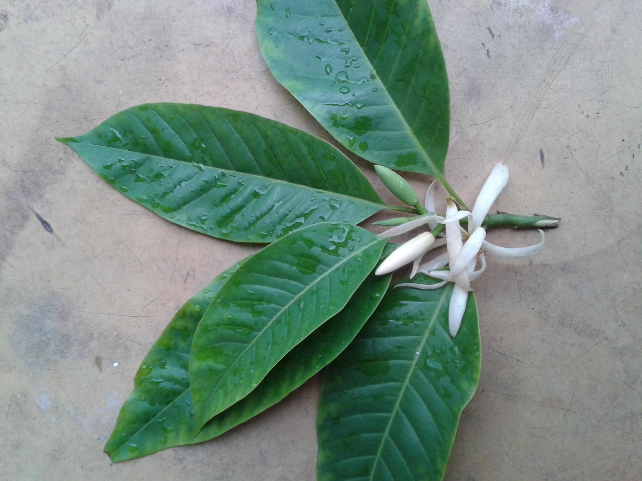 20140519_172535.jpg