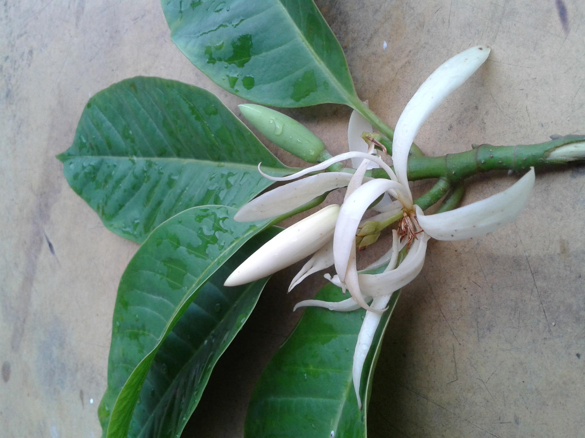 20140519_172608.jpg