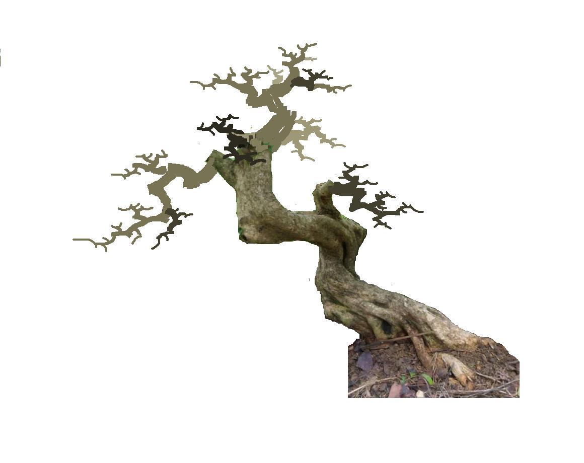s1.JPG