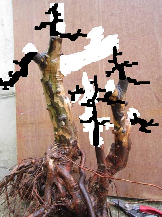 190424o4yfototlfeftott.jpg.thumb.jpg