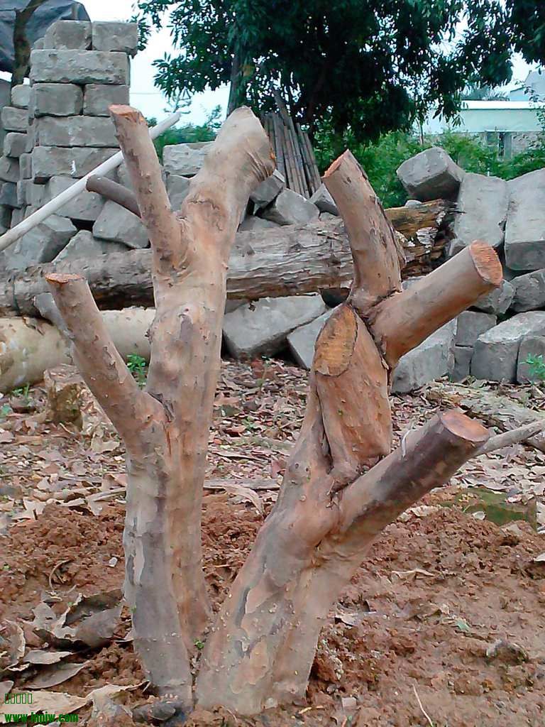 IMG20130412005.jpg