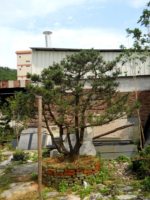 DSCN0184.JPG