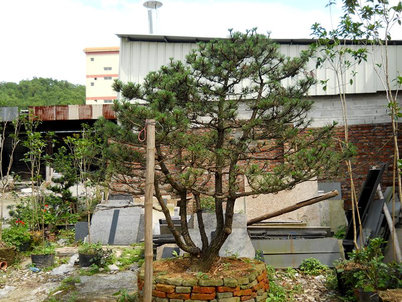 DSCN0185.JPG
