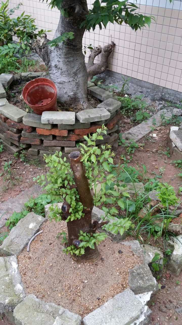 ɳ-1