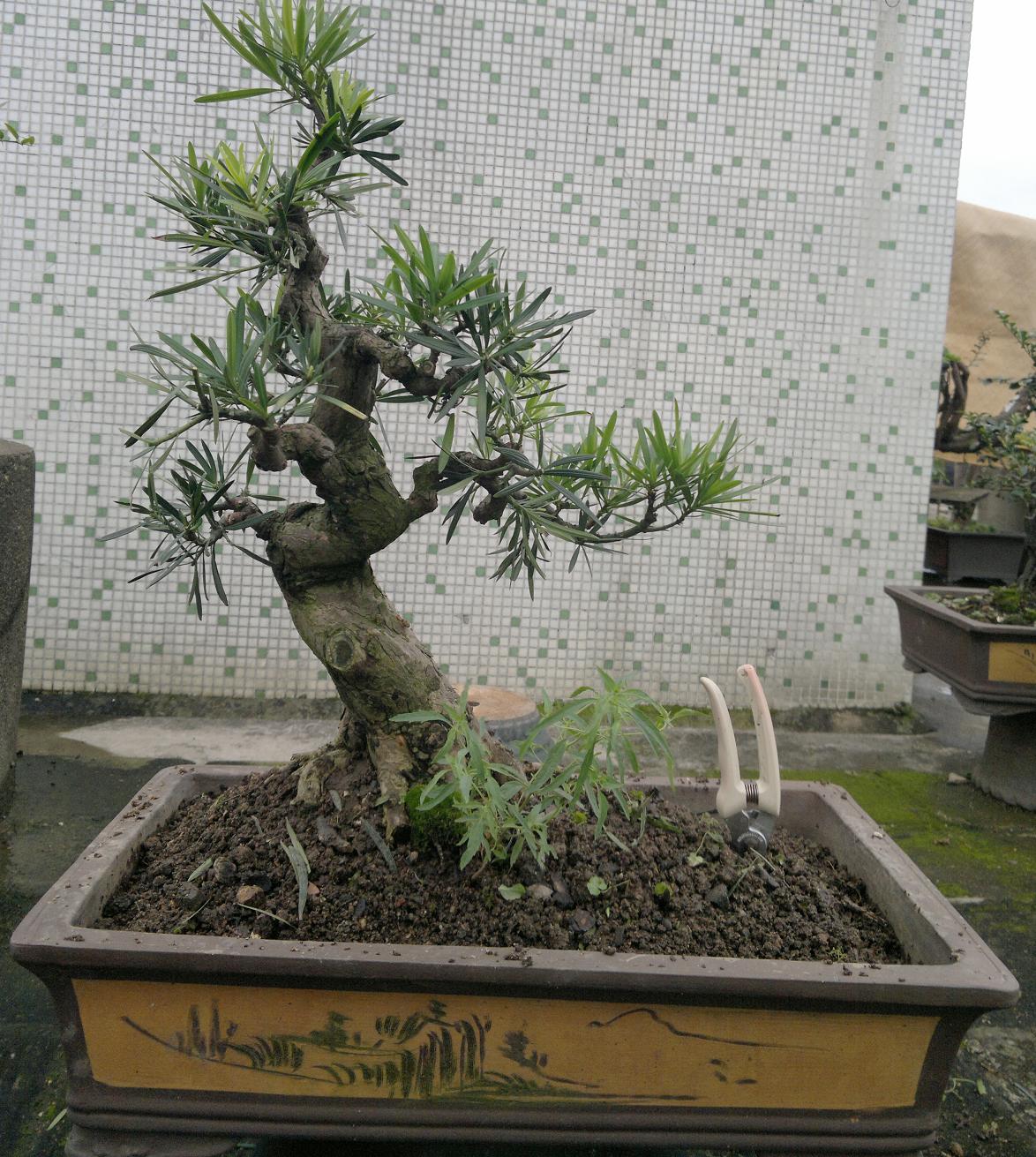 201405181970.jpg