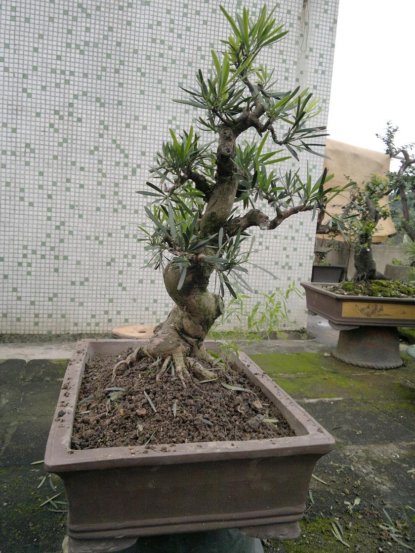 201405181971.jpg