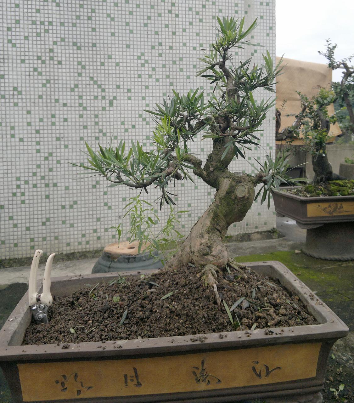 201405181972.jpg