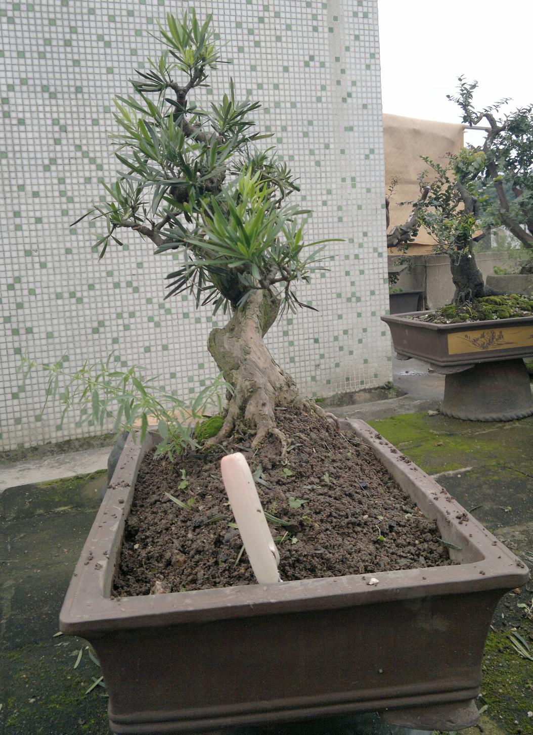 201405181973.jpg