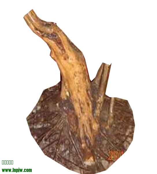 171448pyfusklsusoyzje0.jpg.thumb.jpg