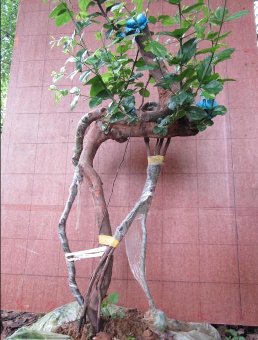 QQͼƬ20140525173747.jpg