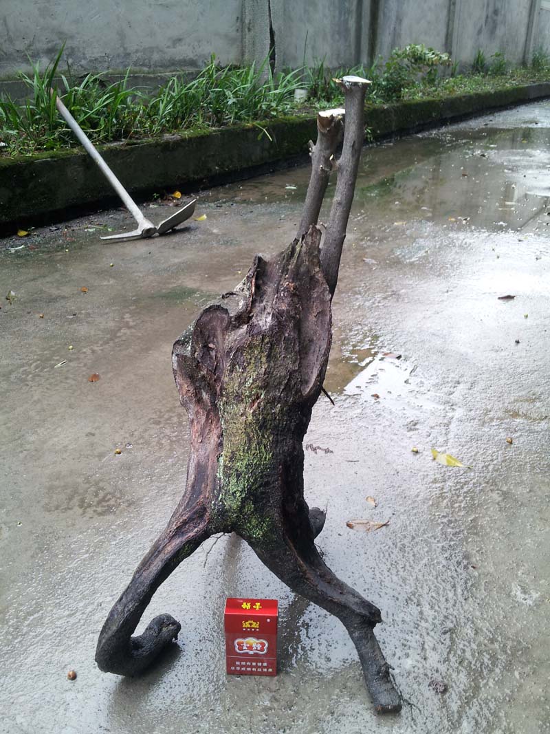 ͼһ.jpg