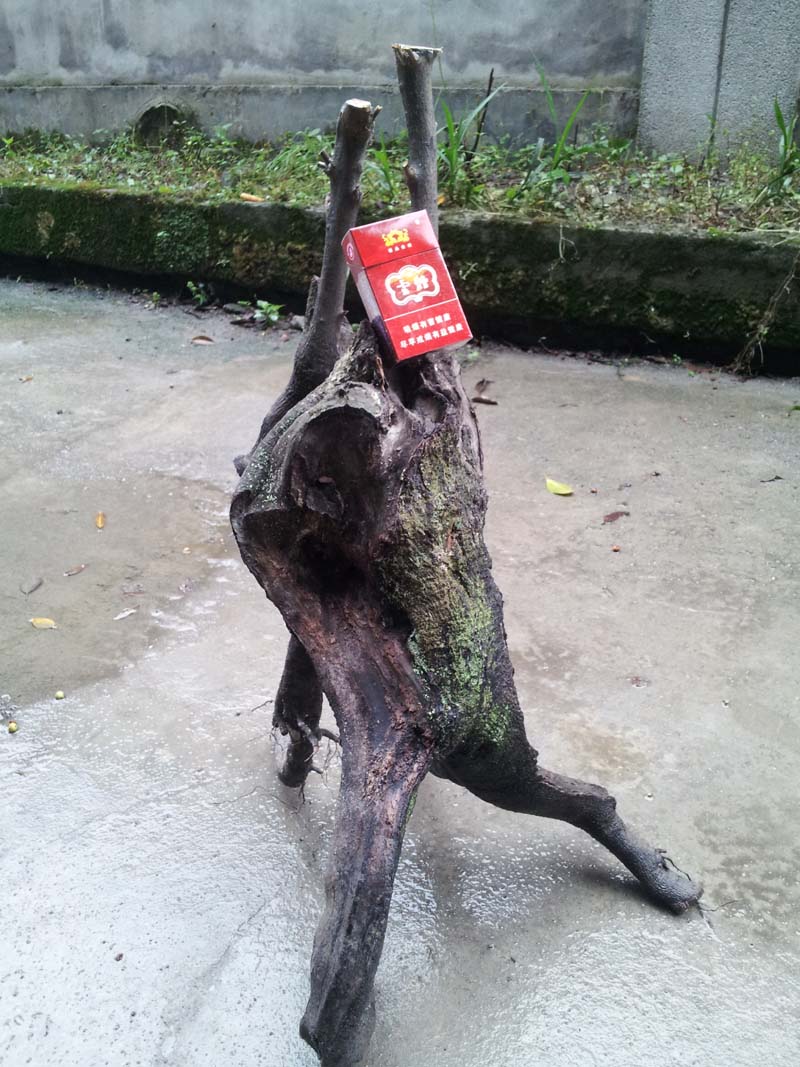 ͼ.jpg