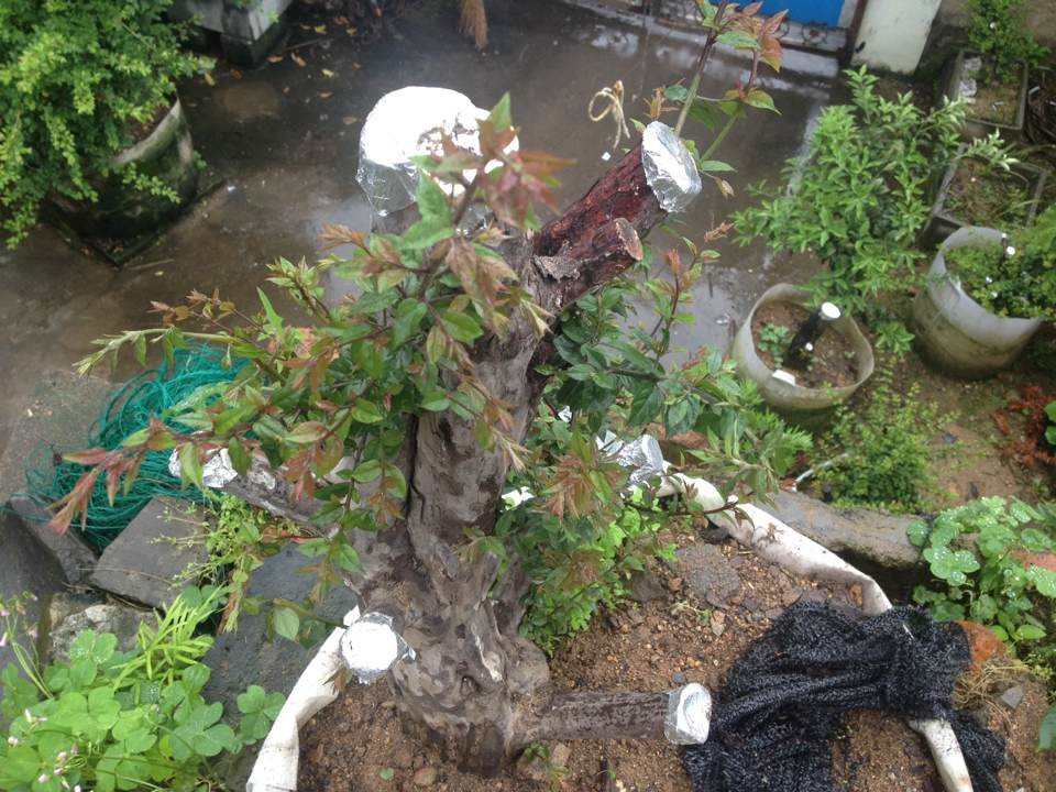 QQͼƬ20140525143805.jpg