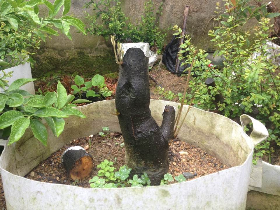 QQͼƬ20140525144014.jpg