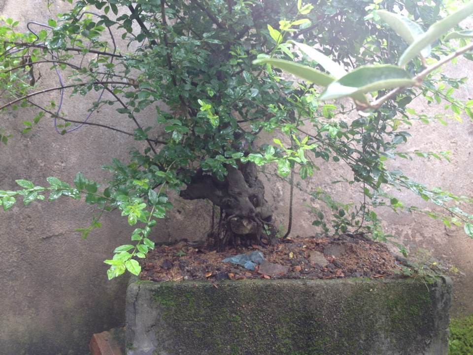QQͼƬ20140525144029.jpg