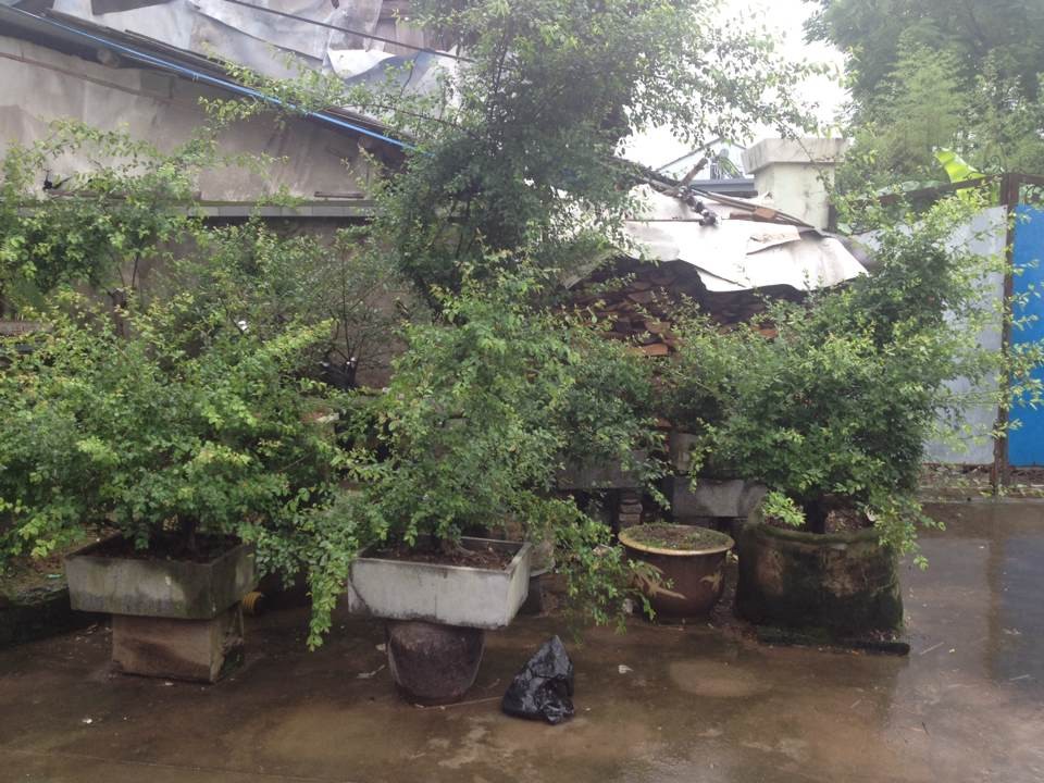 QQͼƬ20140525144035.jpg