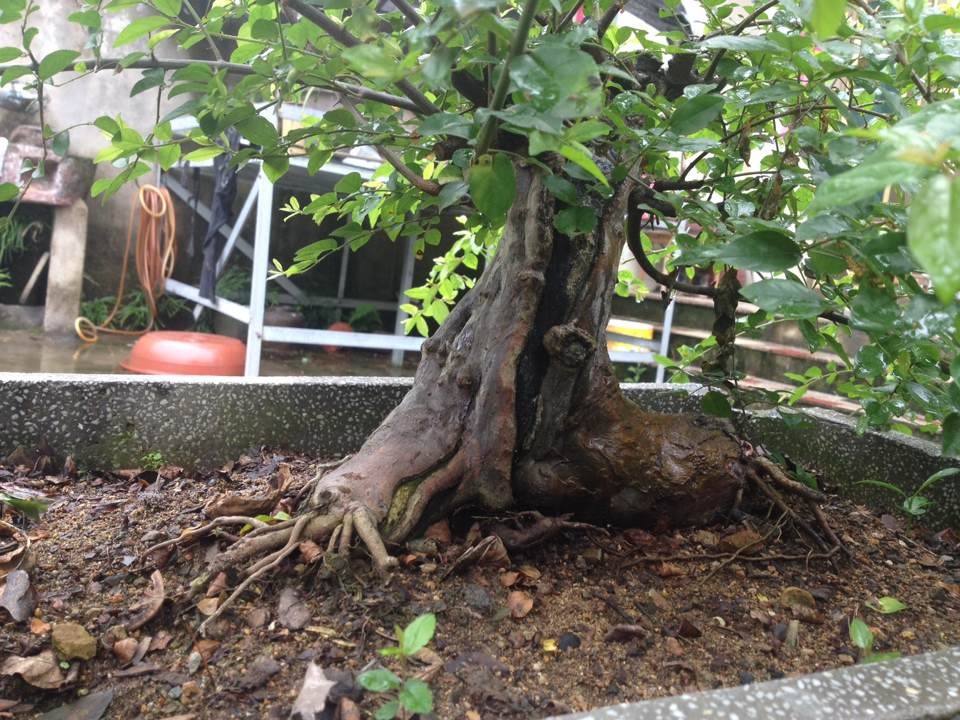 QQͼƬ20140525144043.jpg