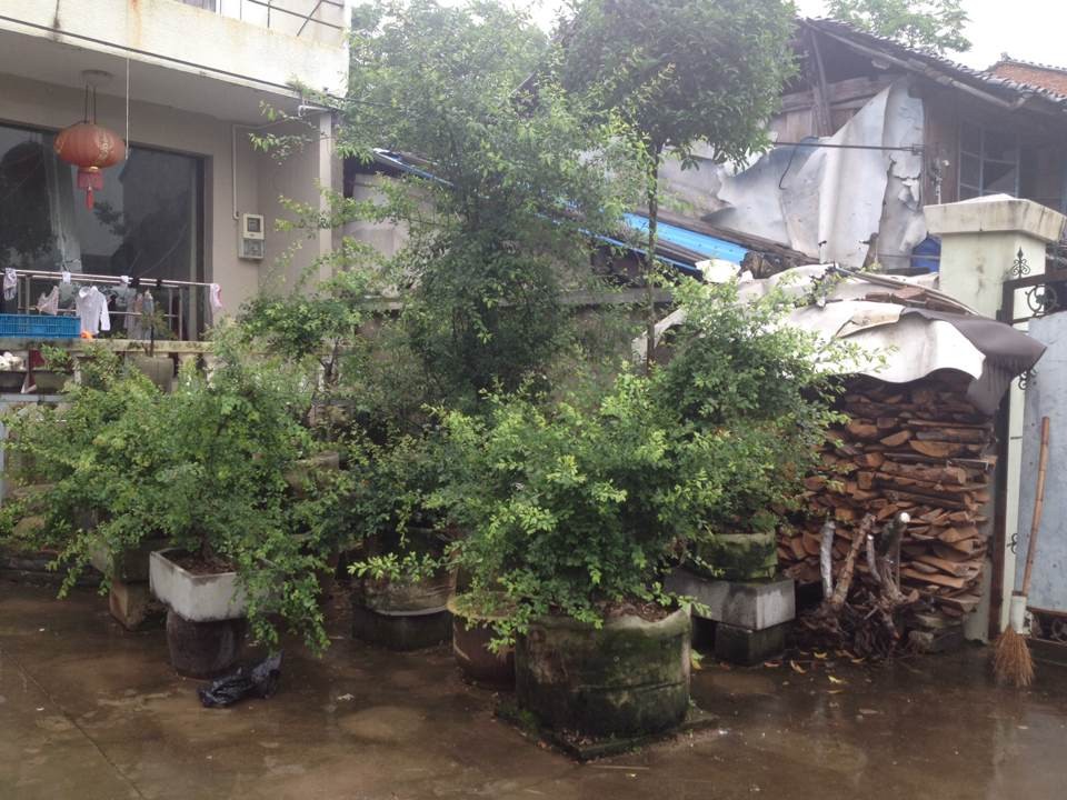 QQͼƬ20140525144045.jpg