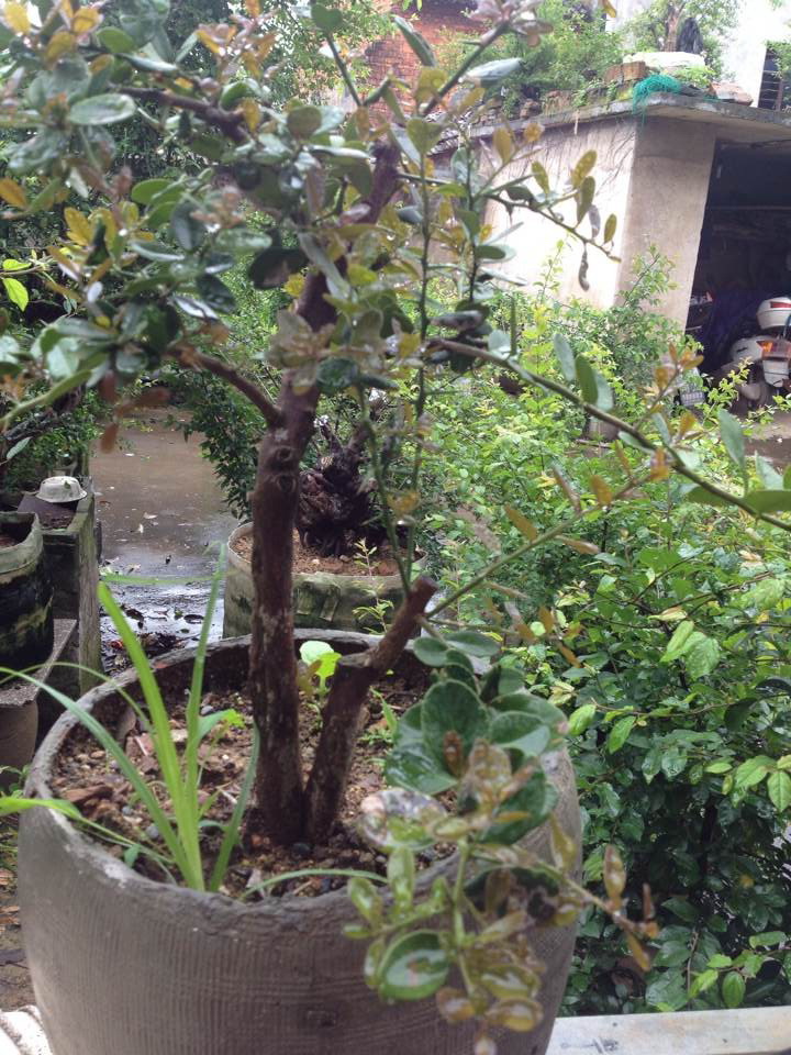 QQͼƬ20140525144107.jpg