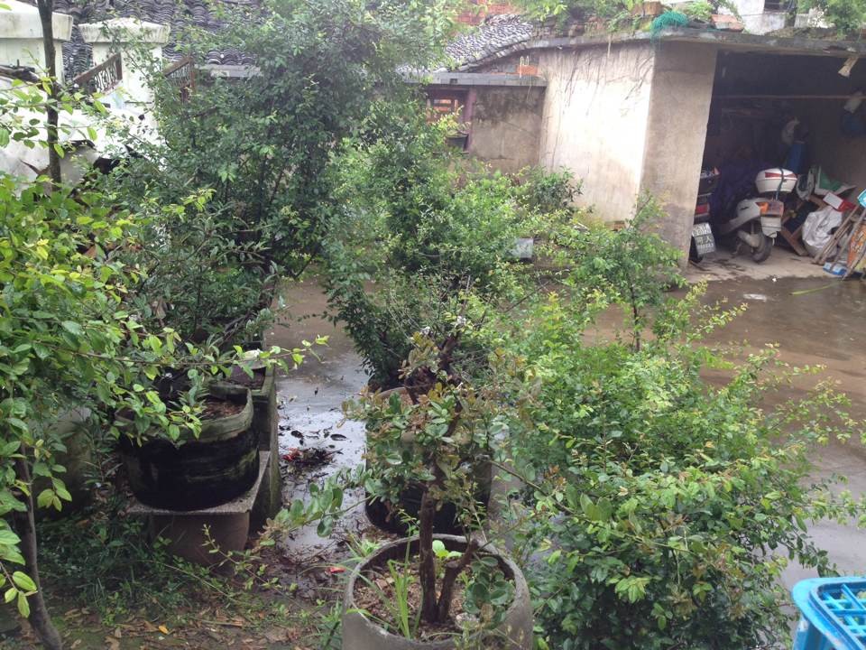 QQͼƬ20140525144110.jpg