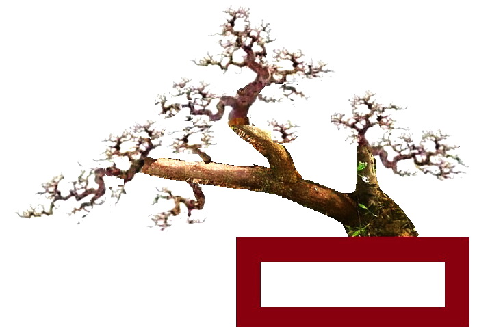 180435etwfaa7zjxqzaoof_jpg_thumb.jpg