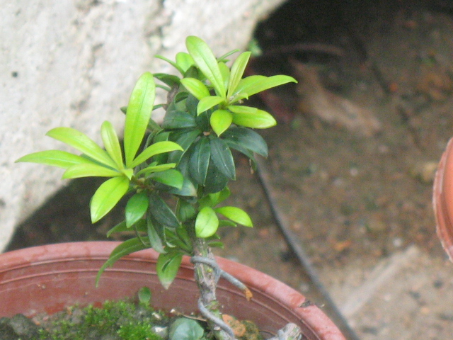 IMG_8461.JPG