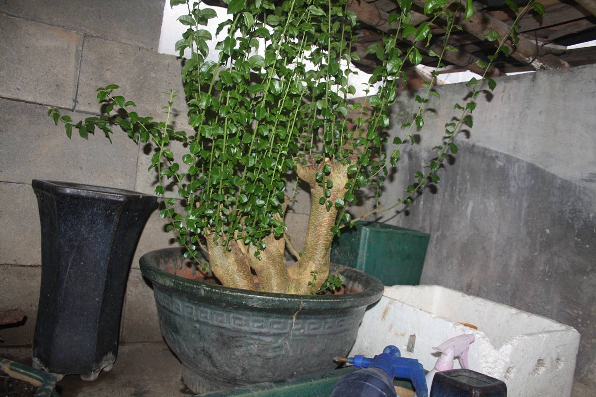 Ƭ20131026ۺ 1412.jpg