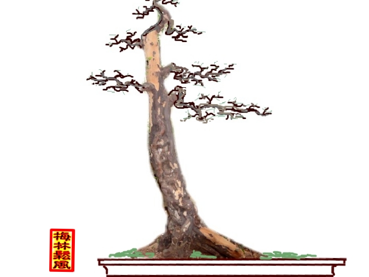 2_conew3.jpg